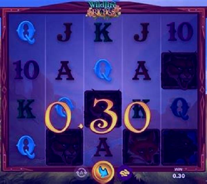 Wildlife Riches slot