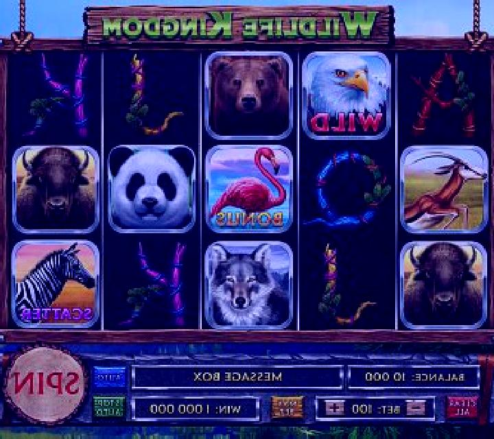 Wildlife slot game