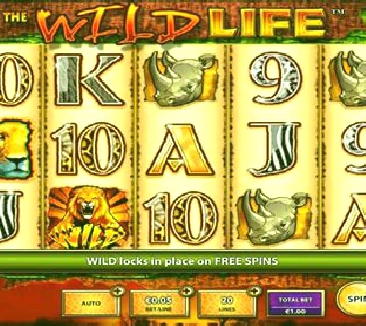 Wildlife slot machine