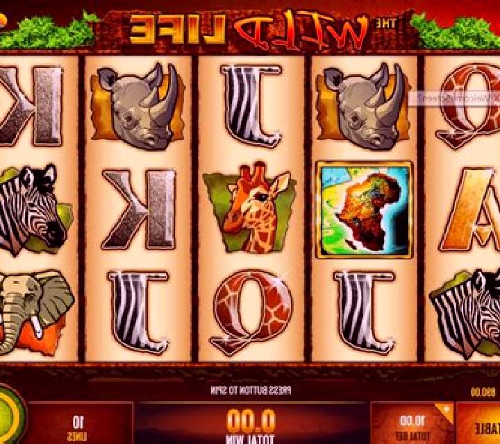 Wildlife slot