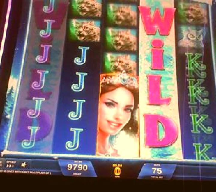 Wilds Deluxe slot machine