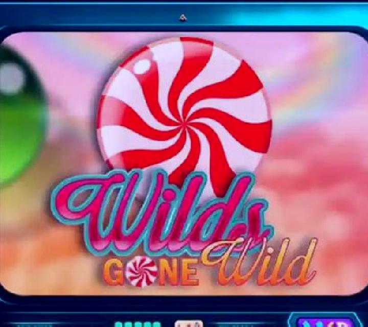 Wilds gone wild slot