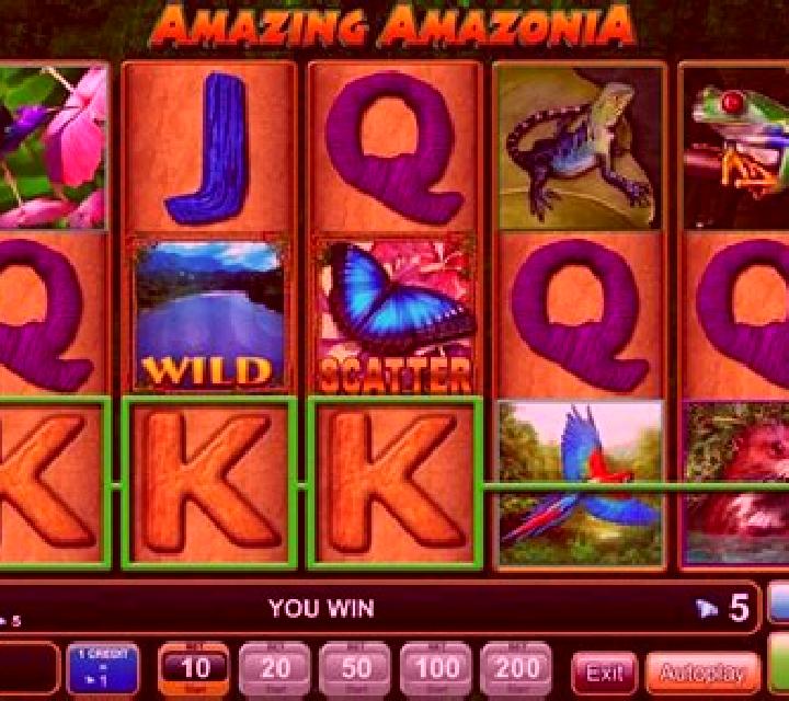 Winflood Amazonia online slot