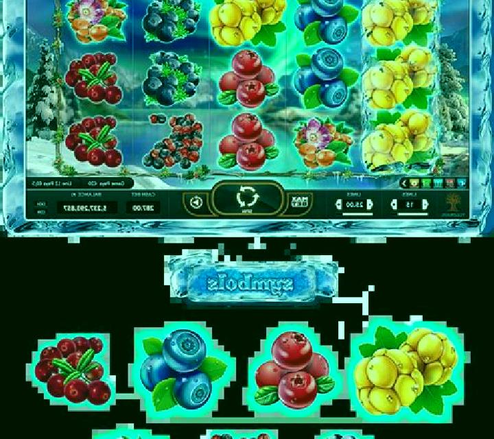 Winter Berries slot game