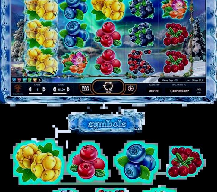 Winter Berries slot machine