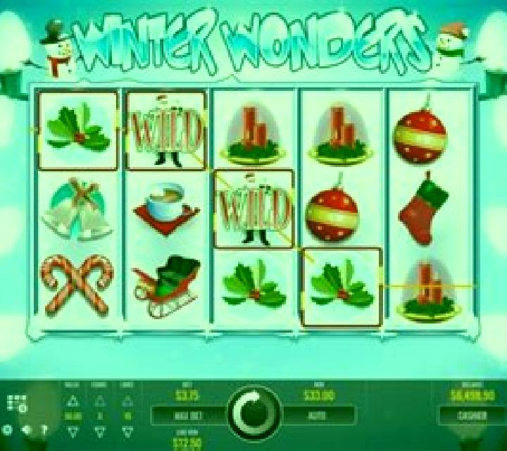Winter Wonders (Rival) slot game