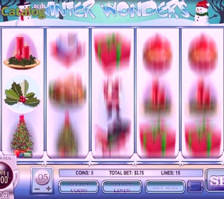 Winter Wonders (Rival) slot