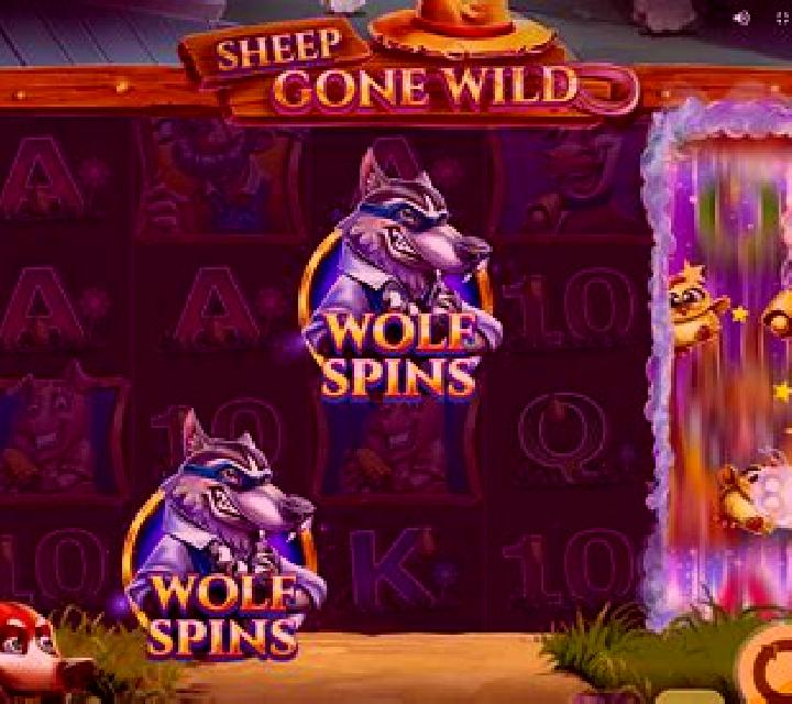 Wishes Gone Wild slot game