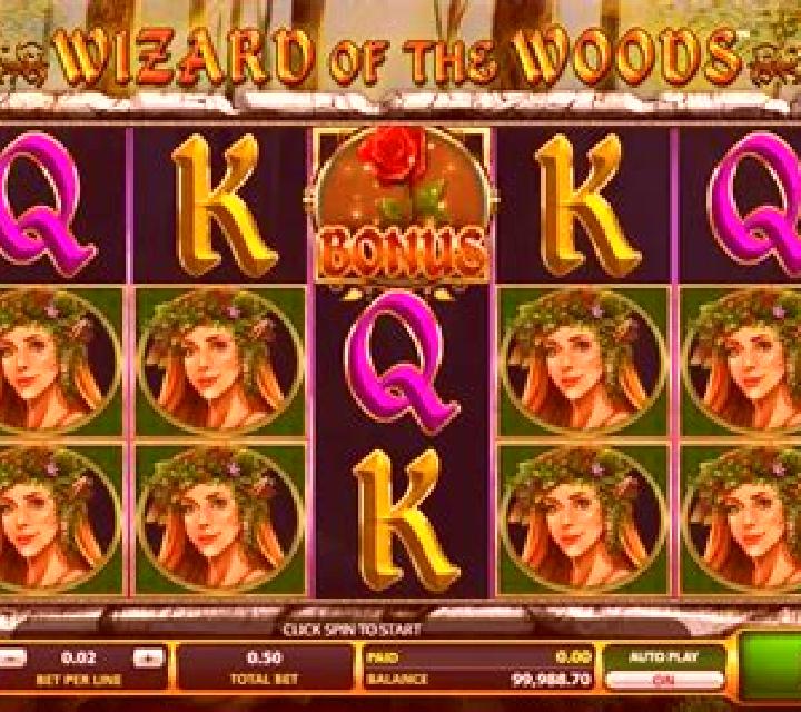 Wizard of the Woods slot