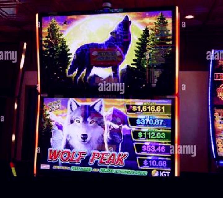Wolves slot machine