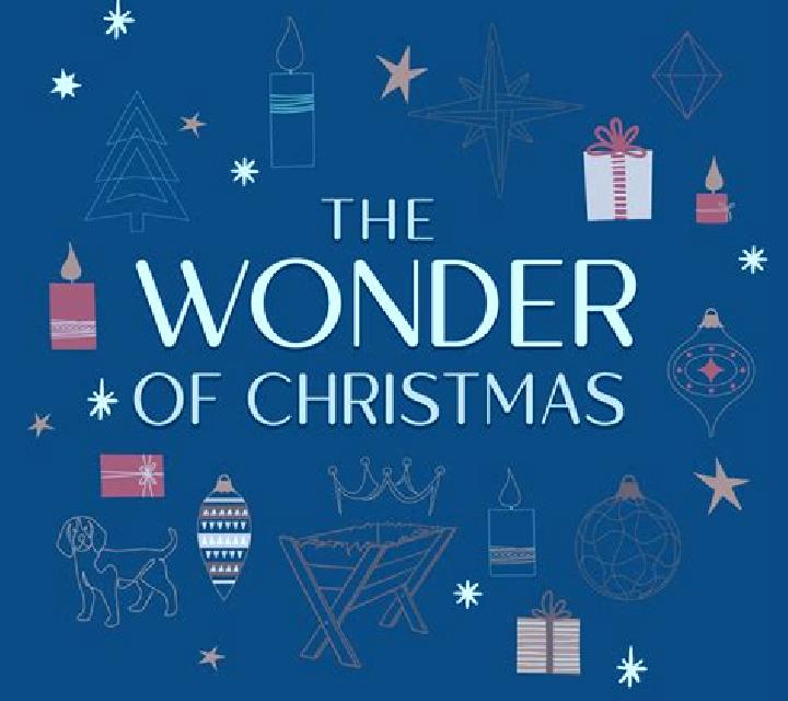 Wonder Christmas online slot