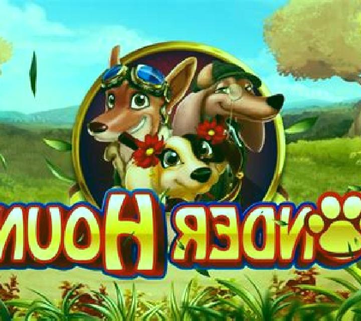Wonder Hounds online slot