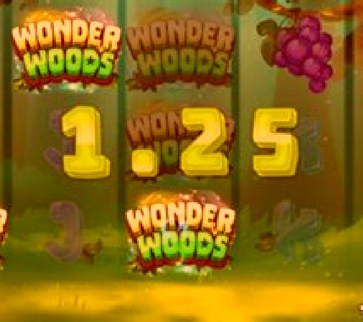 Wonder Woods slot game