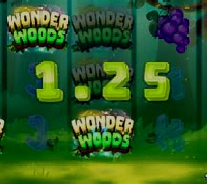 Wonder Woods slot