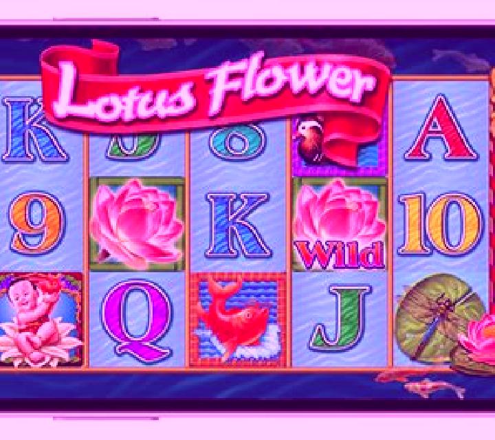 WP Golden Flower slot game
