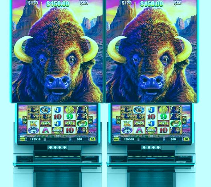 X-Mas Buffalo slot machine