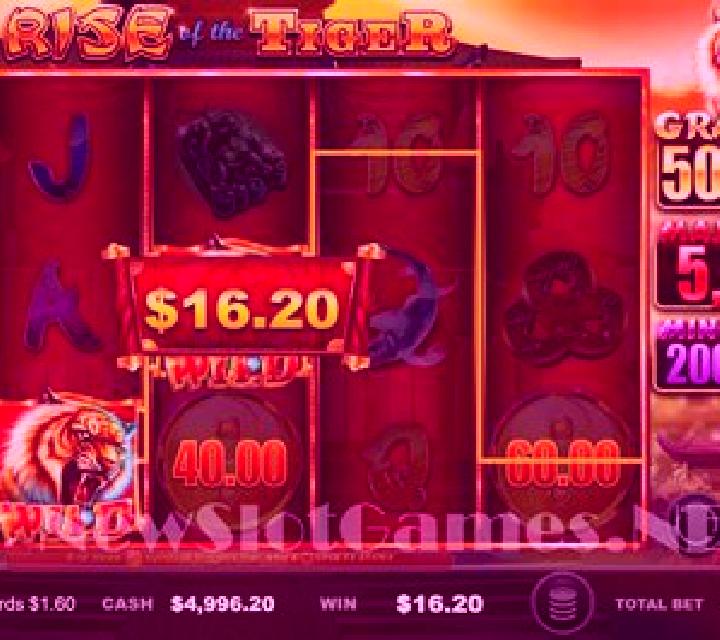 Year of the Tiger (Ainsworth) slot game