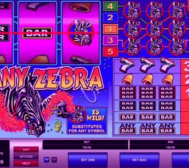 Zany Zebra online slot