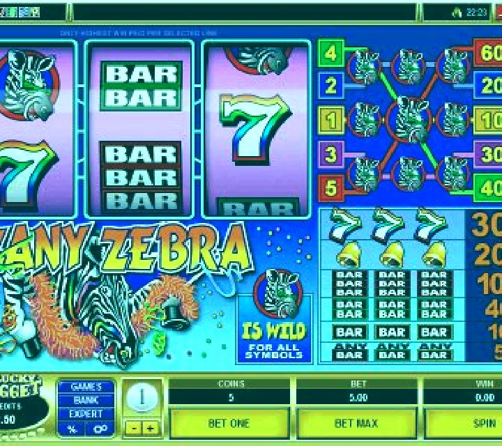 Zany Zebra slot machine