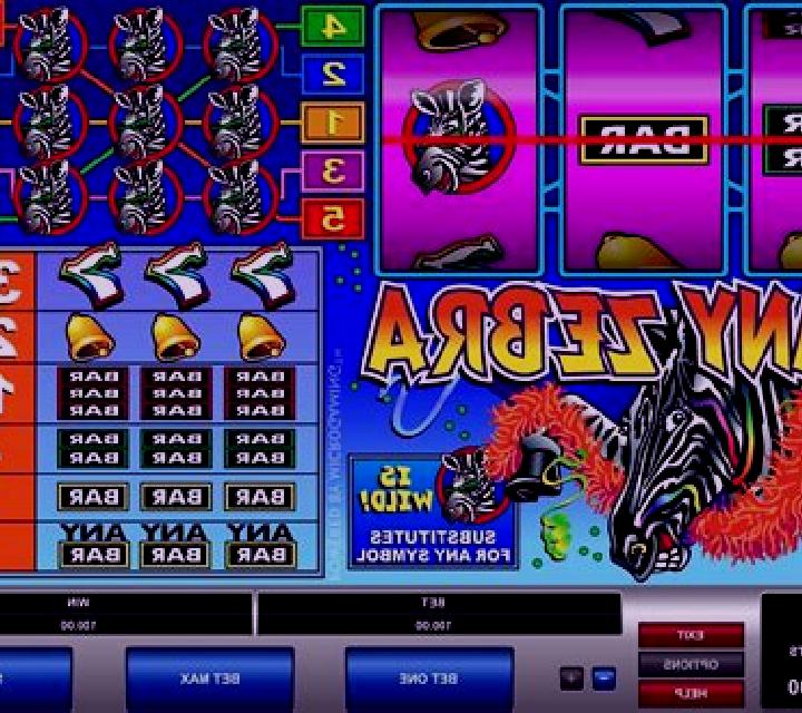 Zany Zebra slot