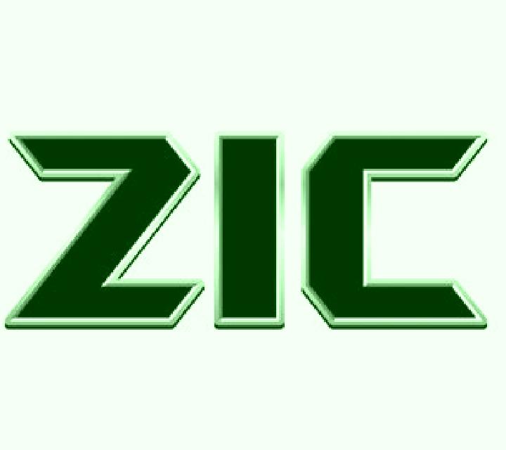 Zic Zac slot