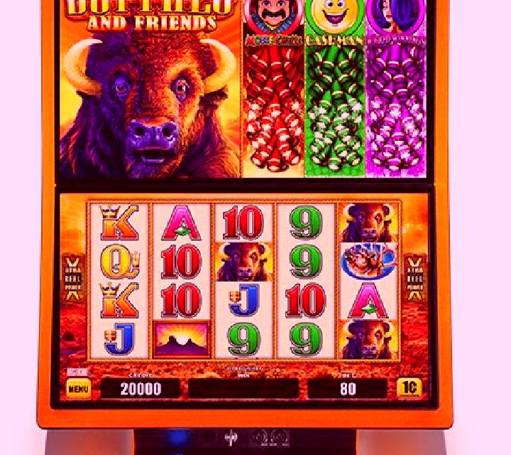 Zimba and Friends slot machine