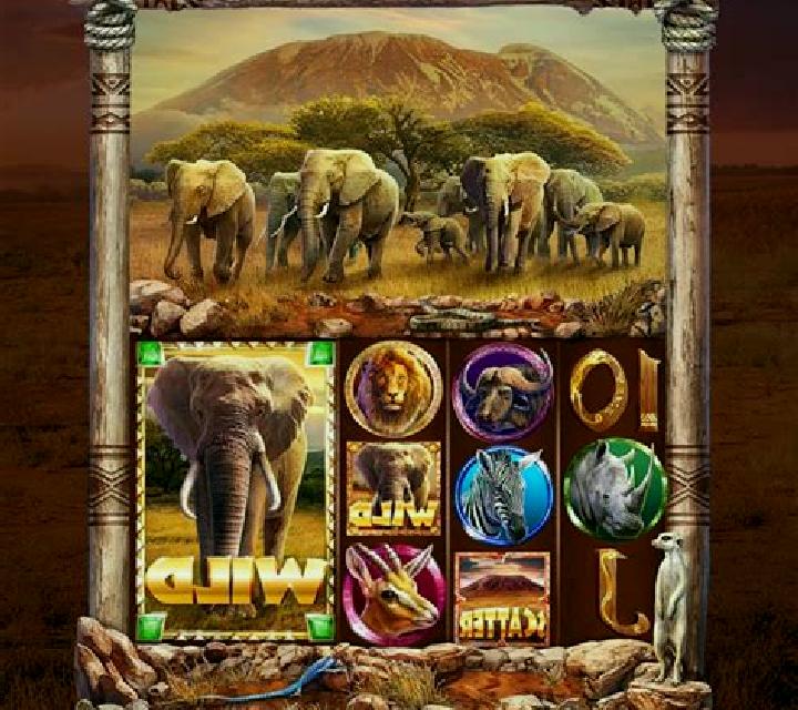 Zulu King slot game